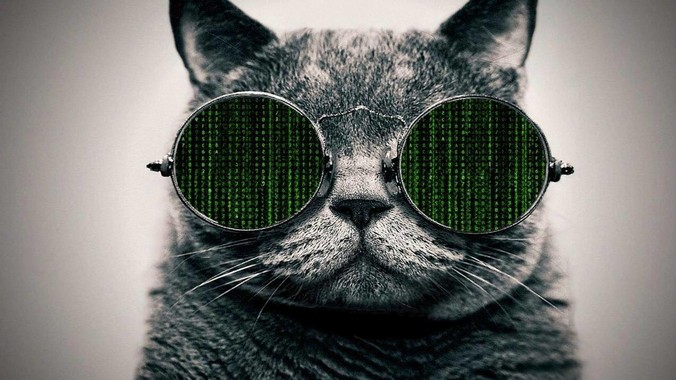 我发现对于“猫就是畜牲，不要把猫看得跟人重要”这话感到害怕，但这句话没错，我是否极端爱猫了？